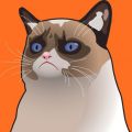 cartoon grumpy cat