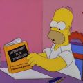 internets homer