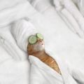 pampered cat meme