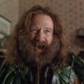 robin williams what year is it jumanji
