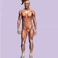 scumbag body