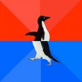 socially awesome awkward penguin