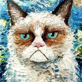 vincent van no grumpy cat